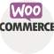 hire wordpress developer